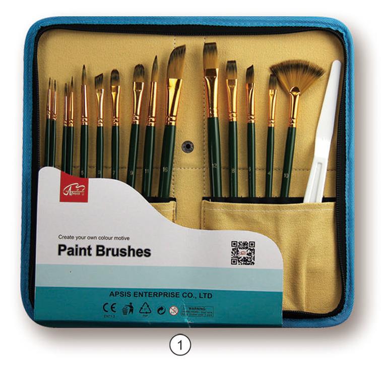 Brushes in Zippered Carrying Case-2